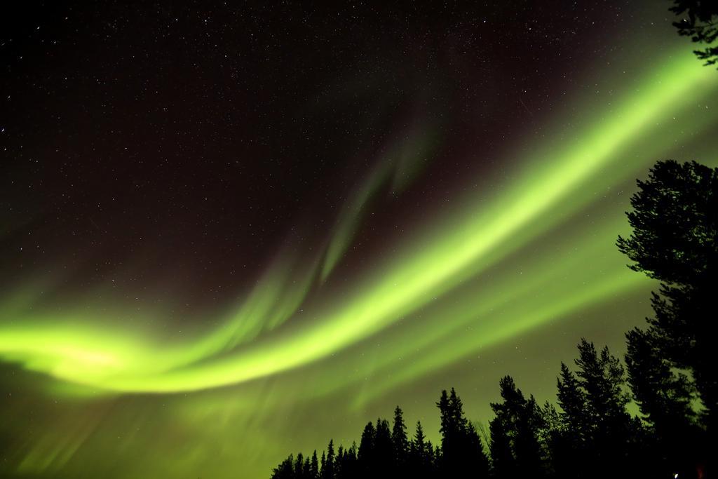 Lapland Northern Lights Hotel Ilveslinna Ranua Eksteriør bilde